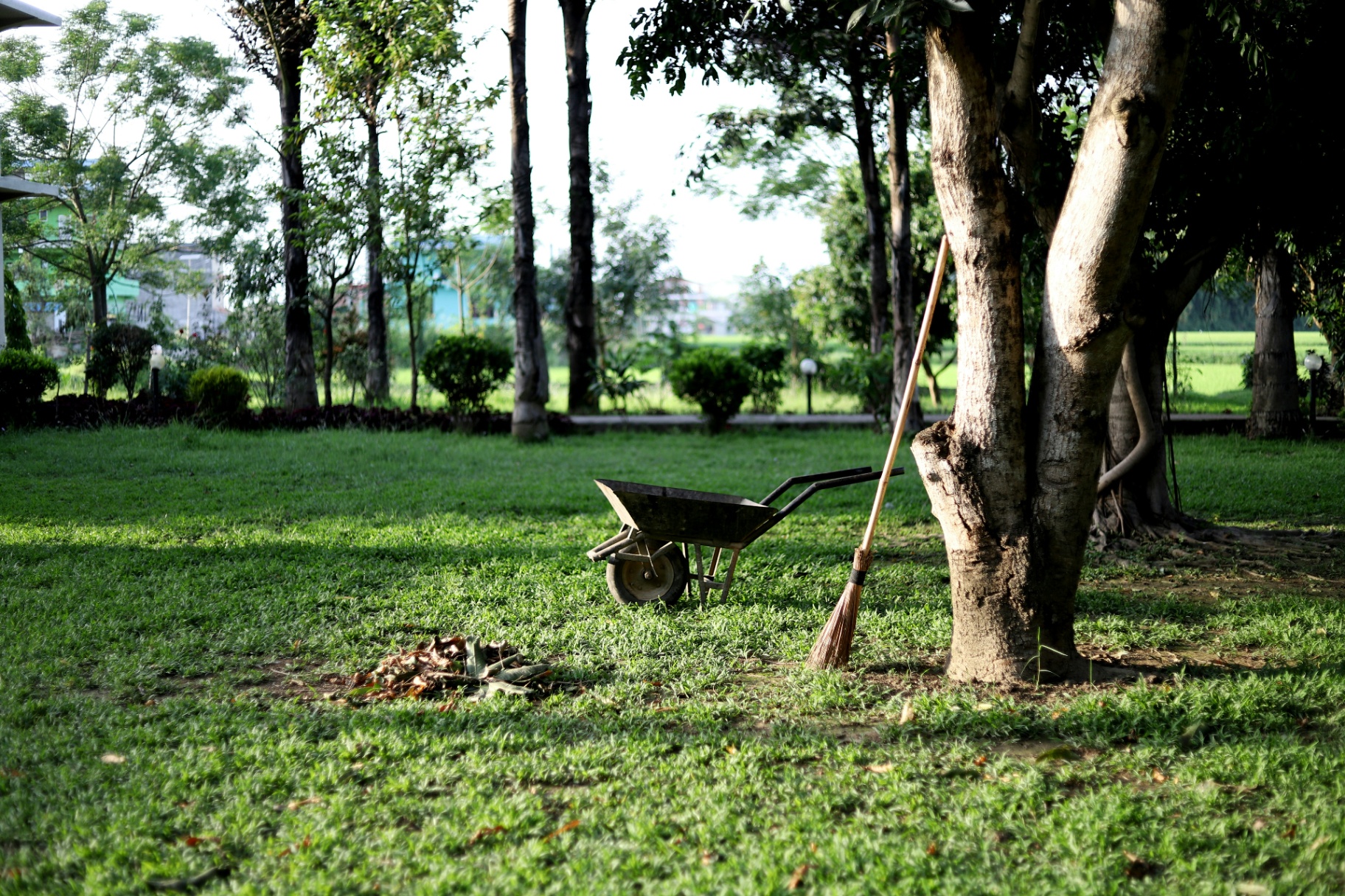 Country grounds maintenance